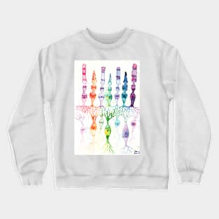 Cone cells rod cells and bipolar neurons in the retina Crewneck Sweatshirt